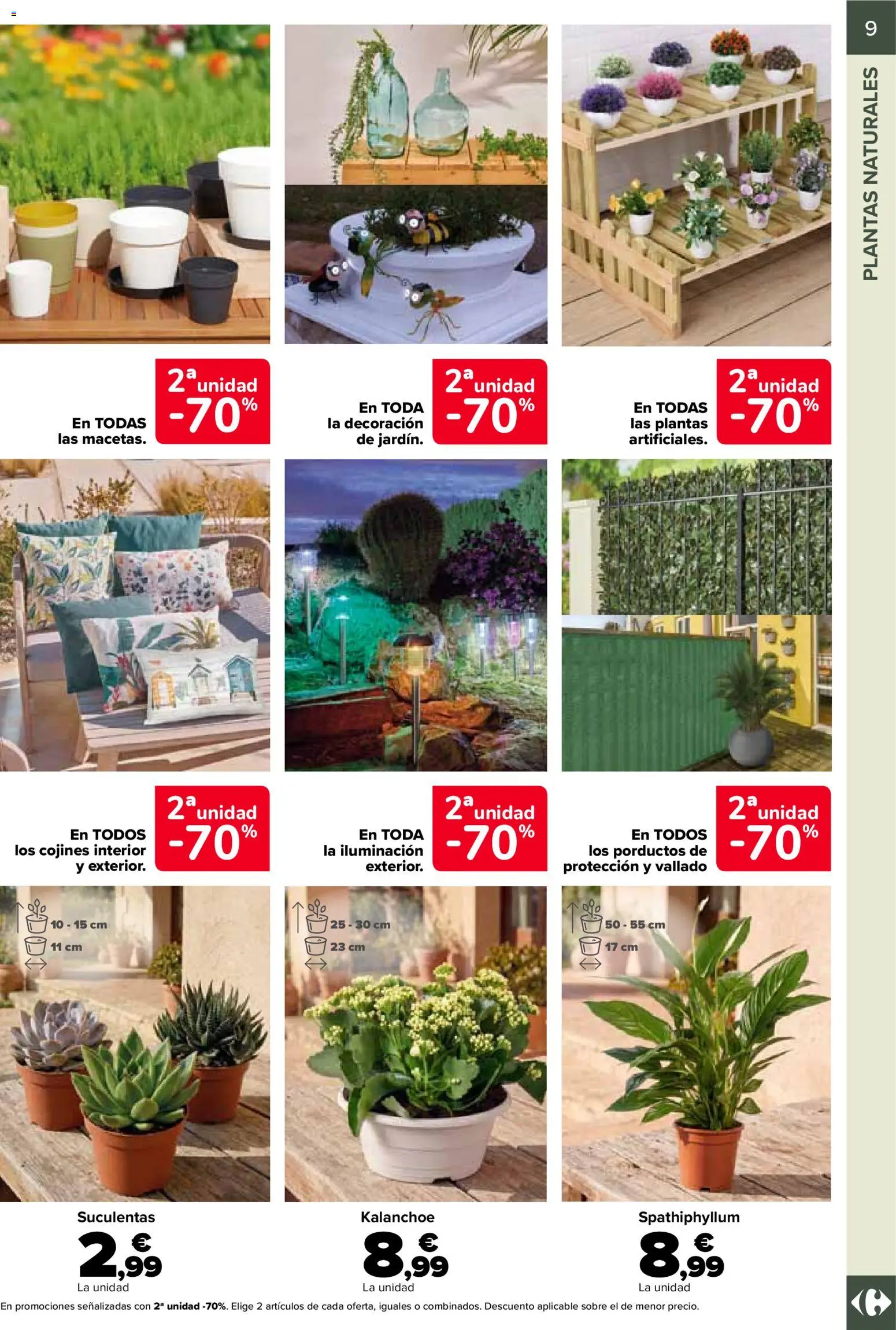 Carrefour · JARDÍN thumb 9