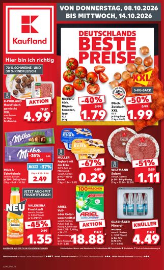 Titelseite des Kaufland Prospekts, gültig vom 08.10.2026 bis 14.10.2026