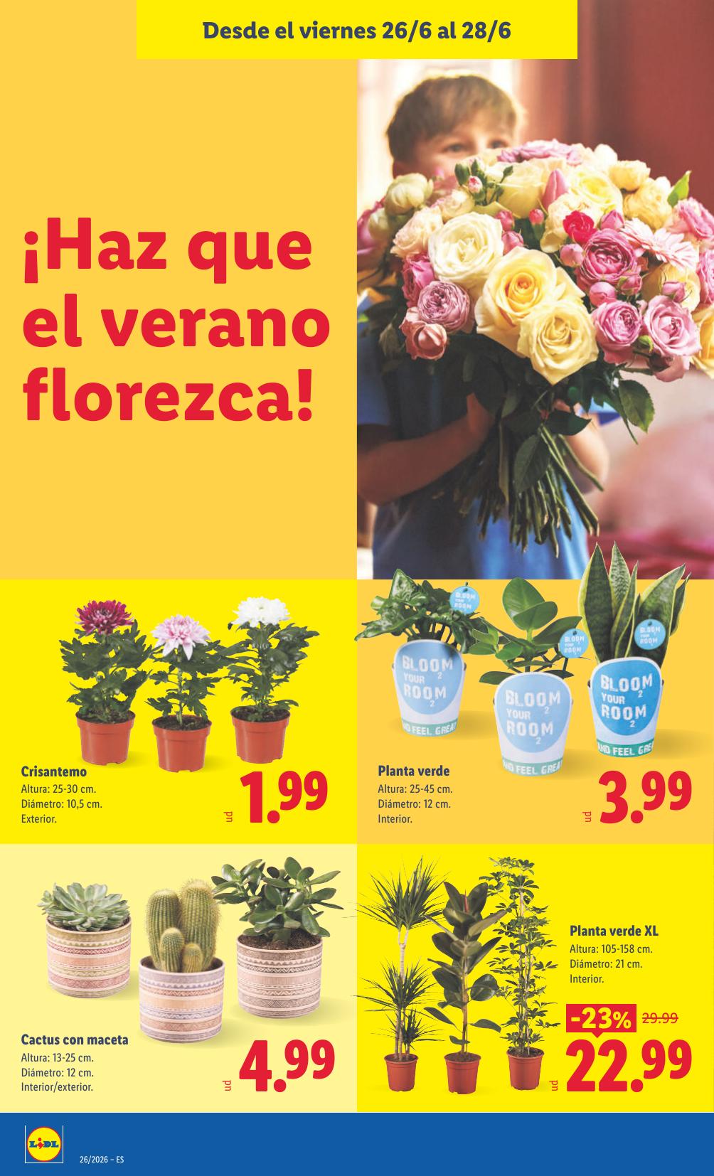 Lidl · Alimentación · 22 de junio de 2026 – 28 de junio de 2026 thumb 44