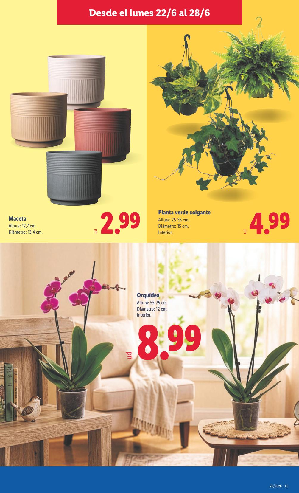 Lidl · Alimentación · 22 de junio de 2026 – 28 de junio de 2026 thumb 45