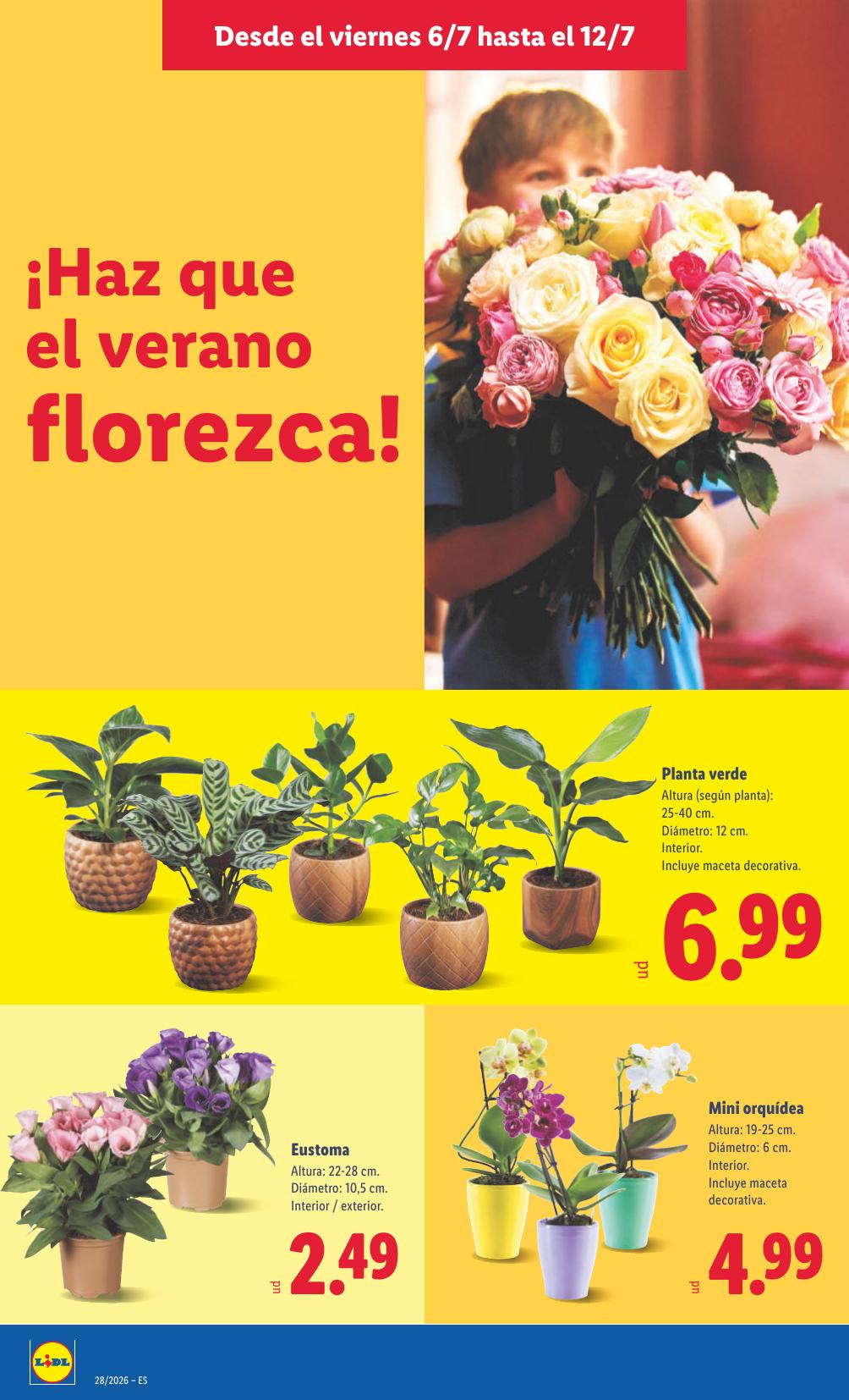 Folleto Lidl Alimentación · 6 de julio de 2026 – 12 de julio de 2026 — Página 64
