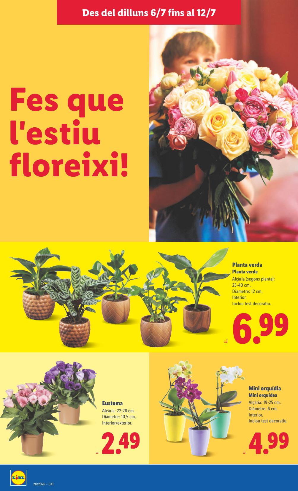 Folleto Lidl Alimentación · 6 de julio de 2026 – 12 de julio de 2026 — Página 64