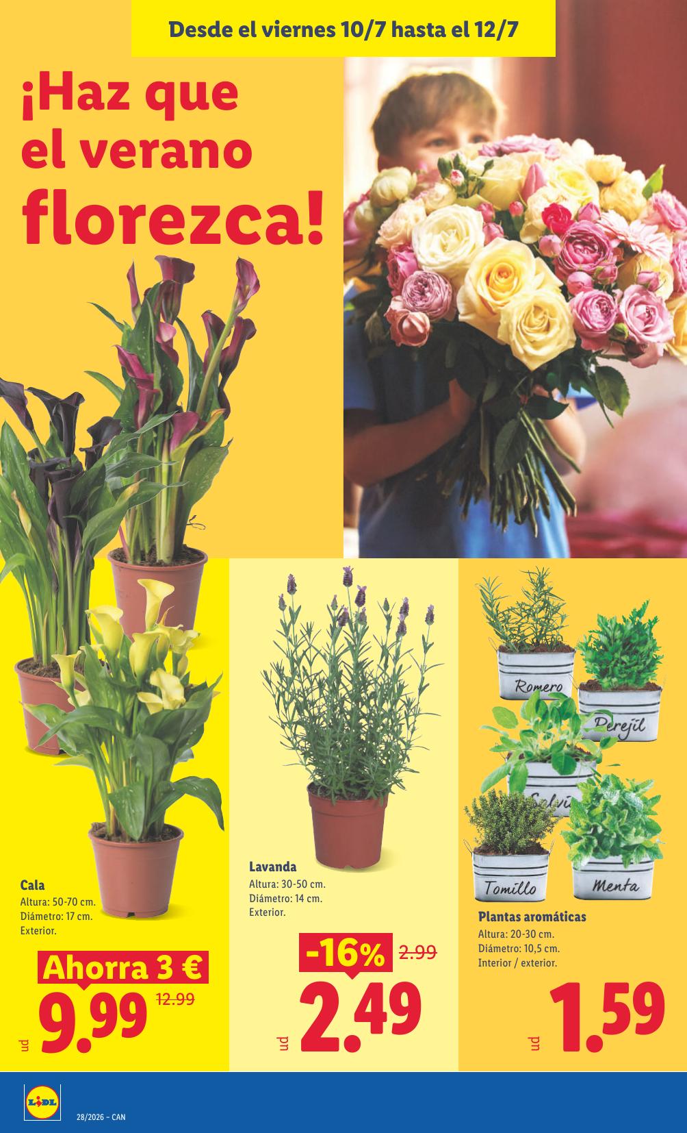 Folleto Lidl Alimentación · 6 de julio de 2026 – 12 de julio de 2026 — Página 52