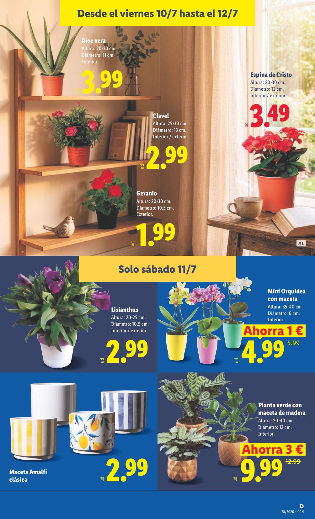 Folleto Lidl Alimentación · 6 de julio de 2026 – 12 de julio de 2026 — Página 53
