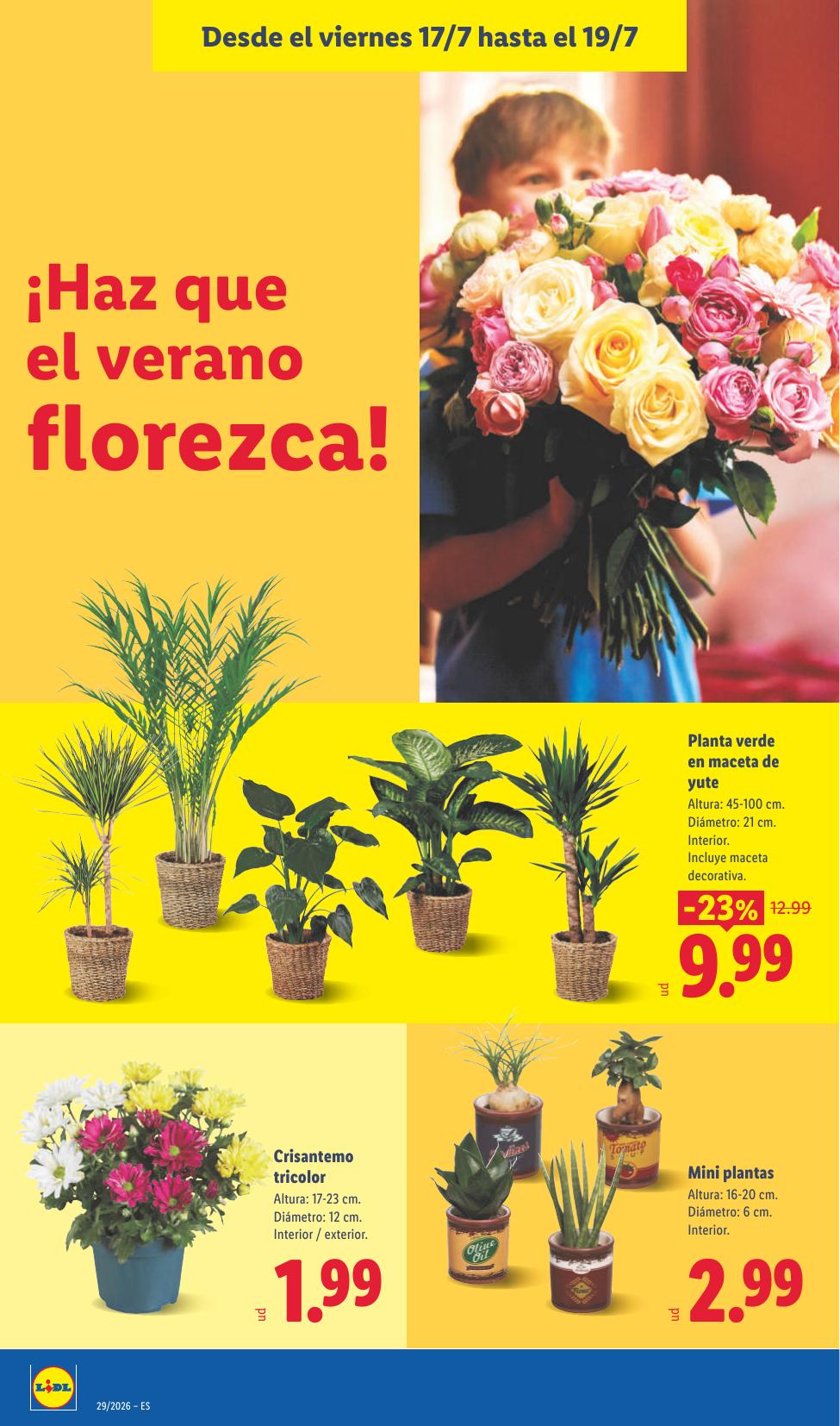 Folleto Lidl Alimentación · 13 de julio de 2026 – 19 de julio de 2026 — Página 58