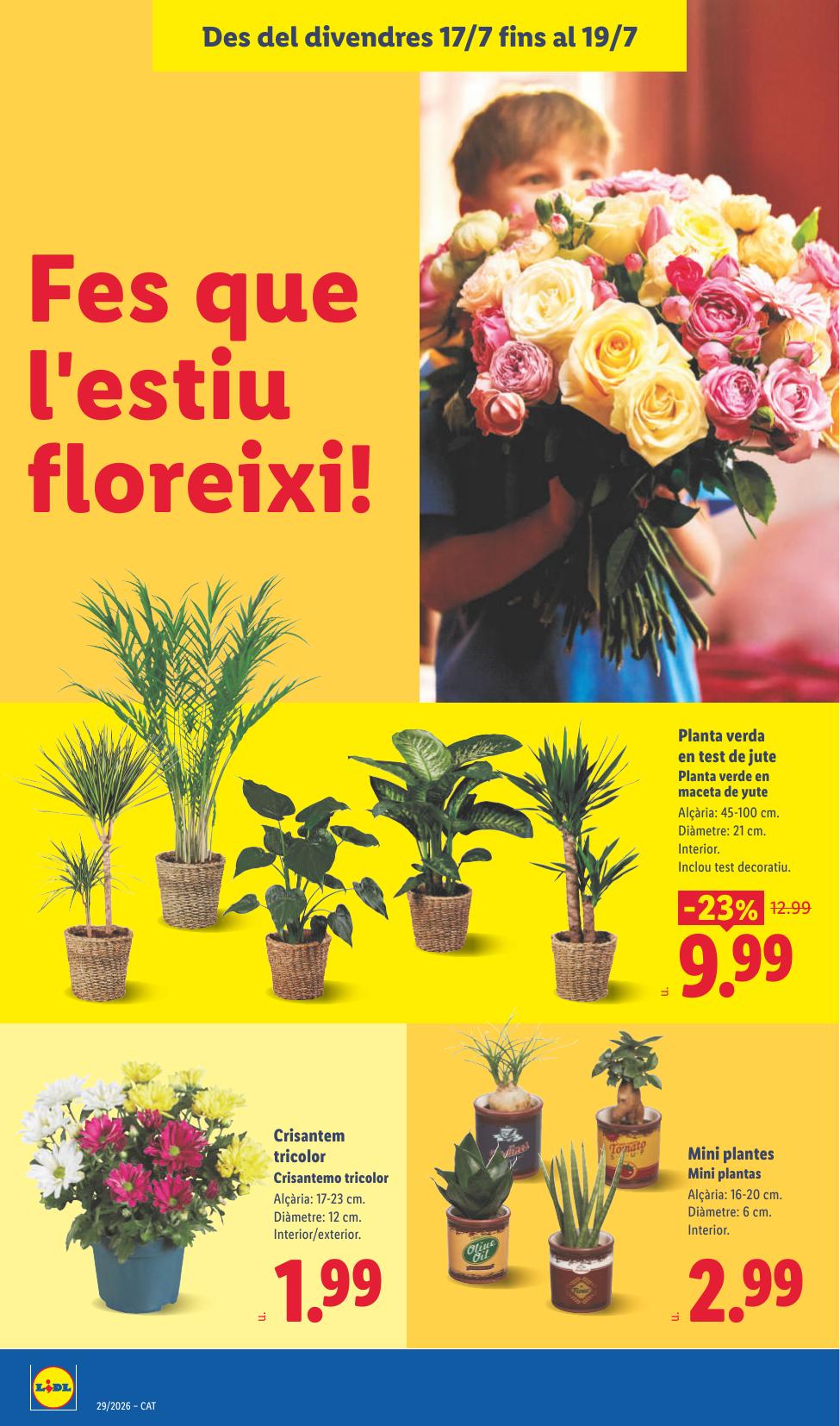 Folleto Lidl Alimentación · 6 de julio de 2026 – 19 de julio de 2026 — Página 58