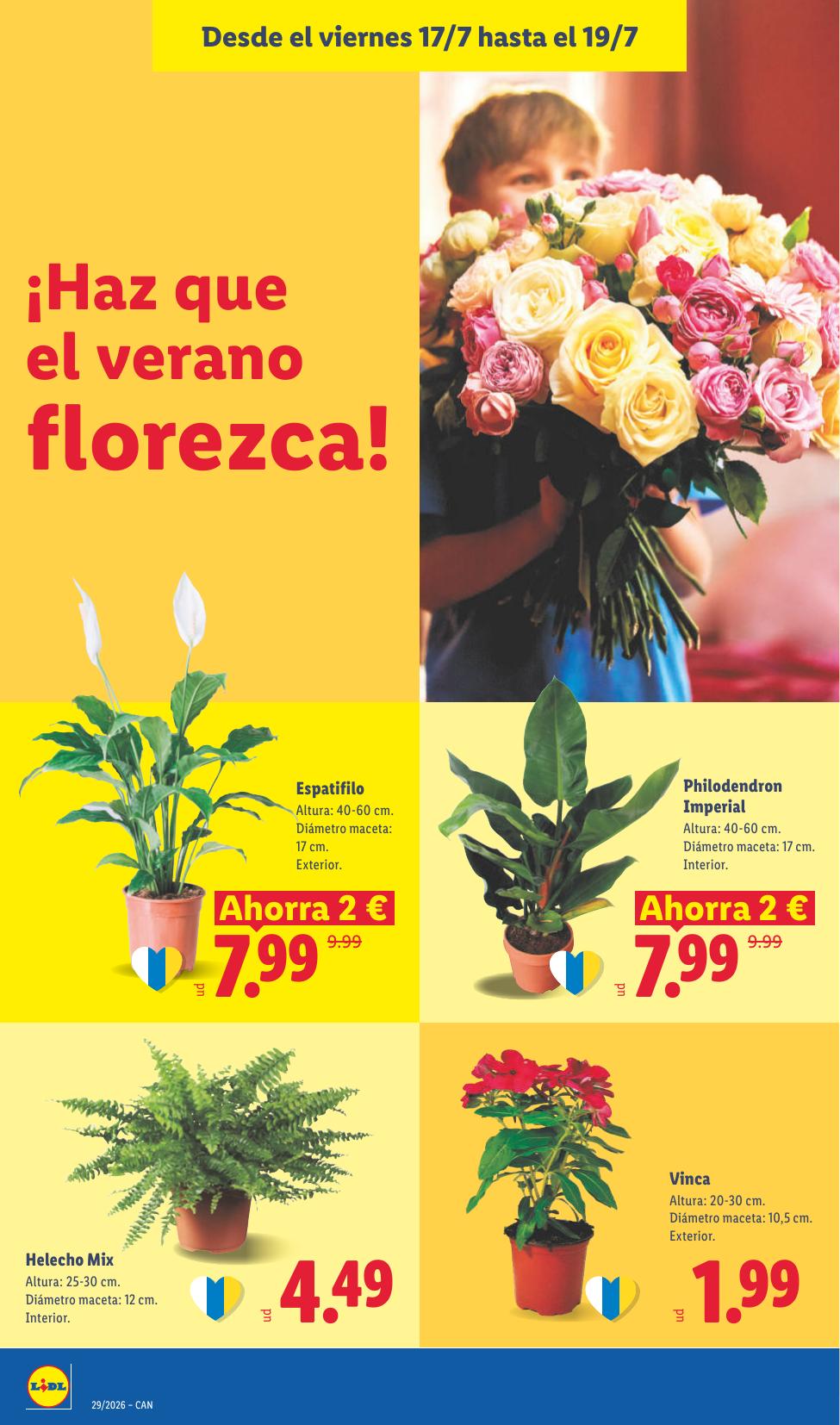 Folleto Lidl Alimentación · 13 de julio de 2026 – 19 de julio de 2026 — Página 50