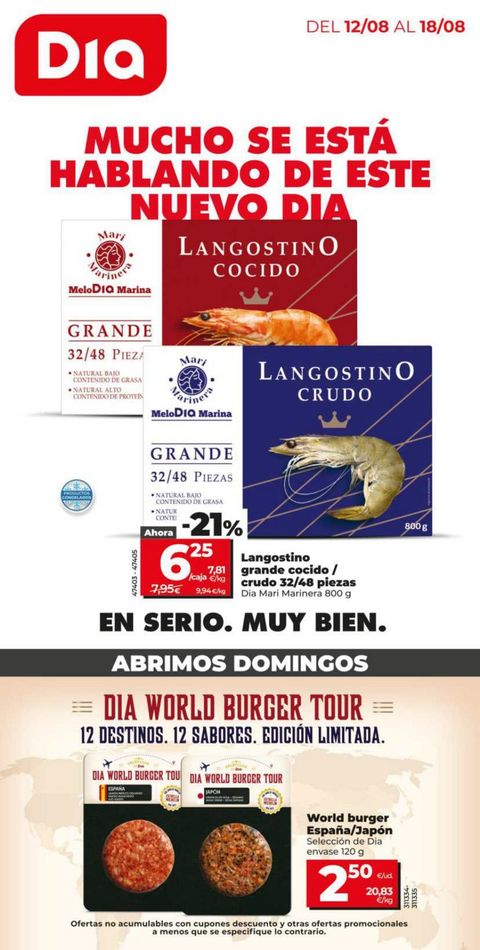 Portada Folleto Día 61