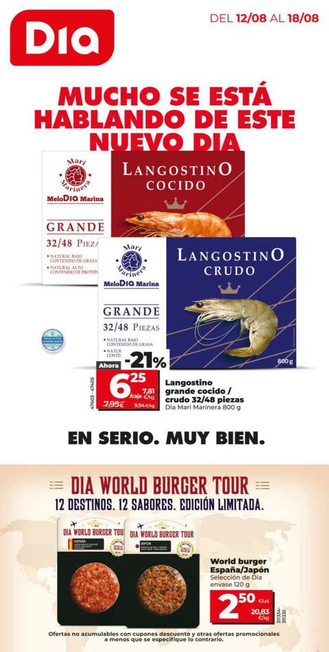 Portada Folleto Día 60