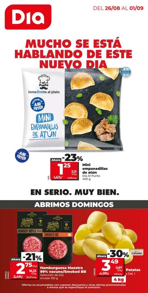 Portada Folleto Día 73