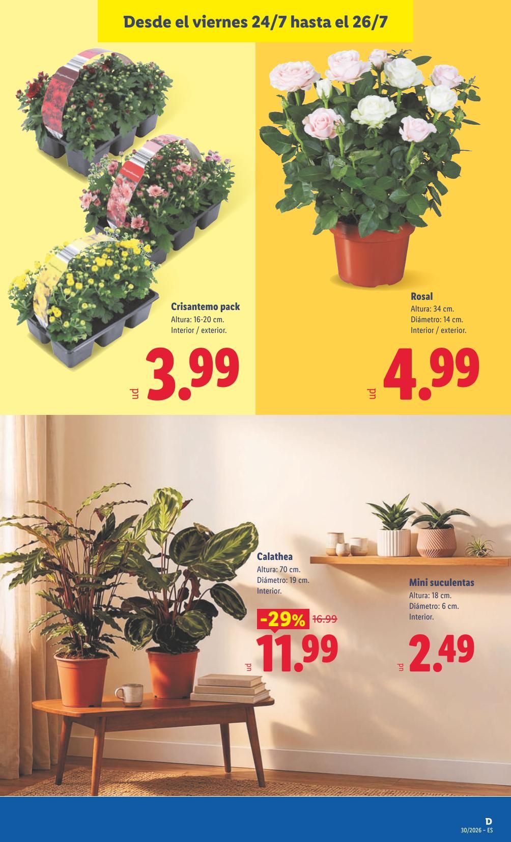 Folleto Lidl Alimentación · 20 de julio de 2026 – 26 de julio de 2026 — Página 51