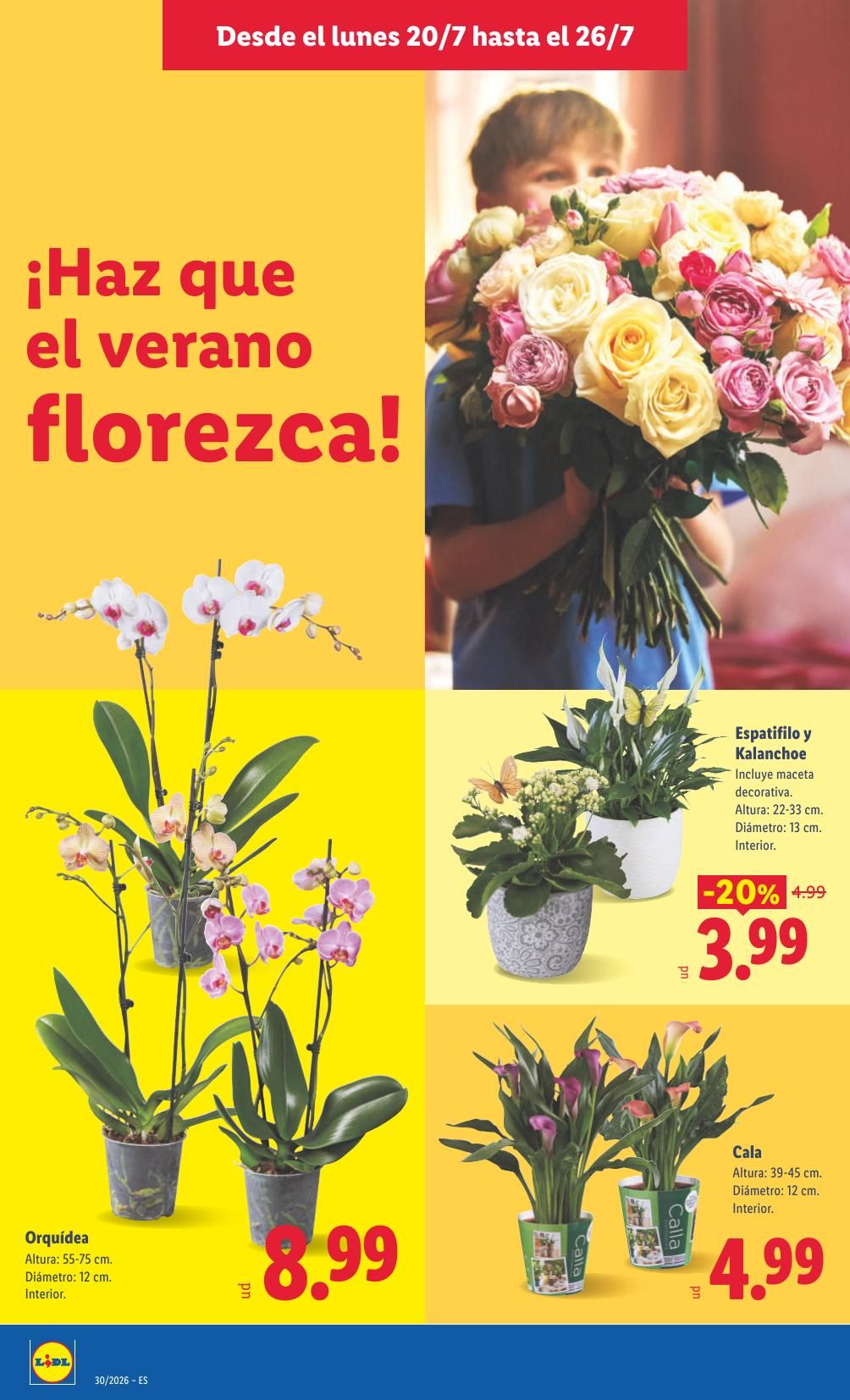 Folleto Lidl Alimentación · 20 de julio de 2026 – 26 de julio de 2026 — Página 50