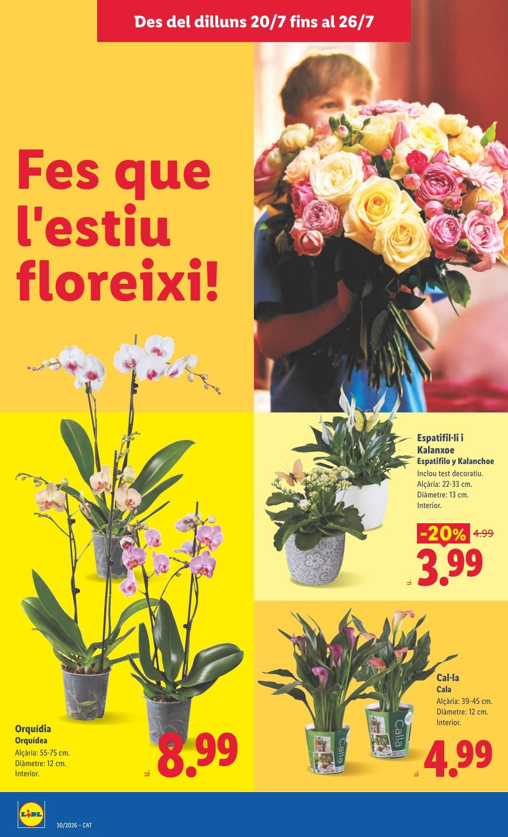 Folleto Lidl Alimentación · 20 de julio de 2026 – 26 de julio de 2026 — Página 50