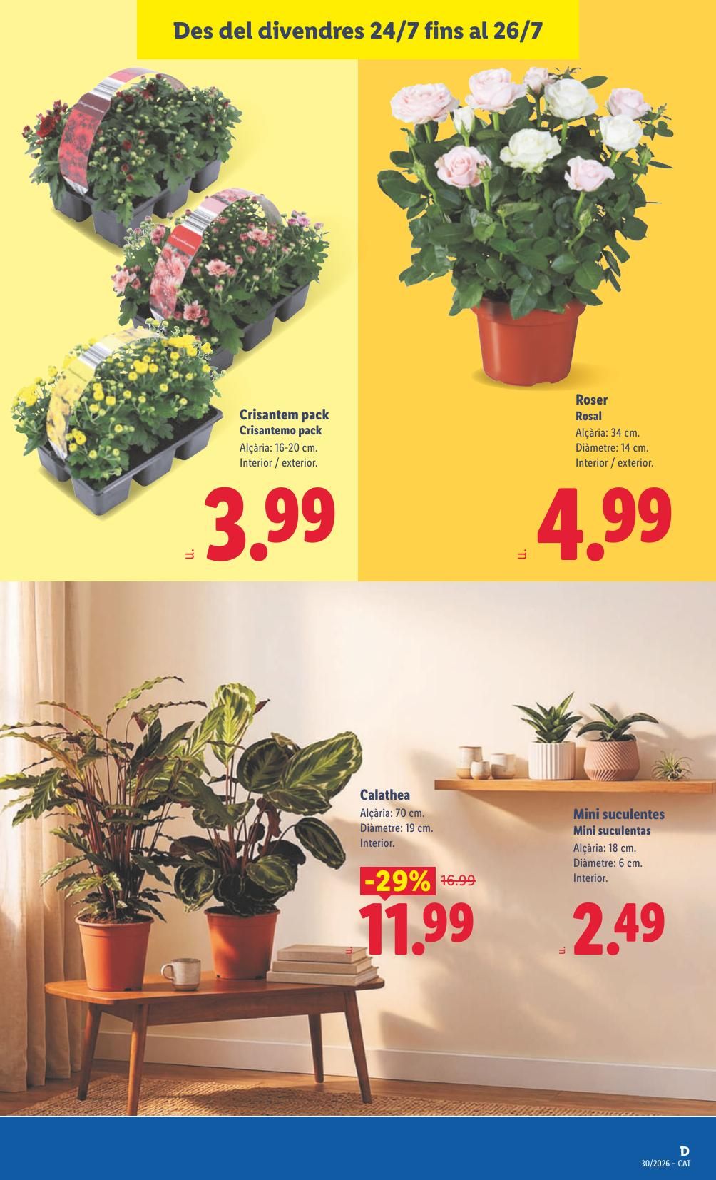 Folleto Lidl Alimentación · 20 de julio de 2026 – 26 de julio de 2026 — Página 51