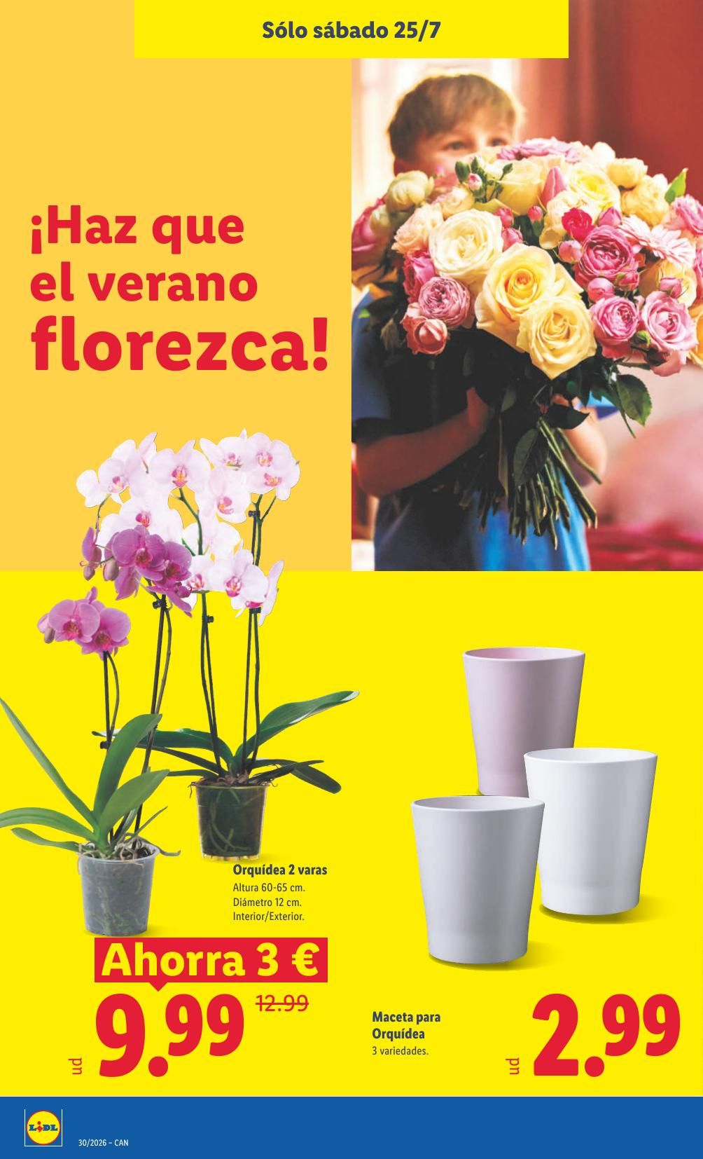 Folleto Lidl Alimentación · 20 de julio de 2026 – 26 de julio de 2026 — Página 50