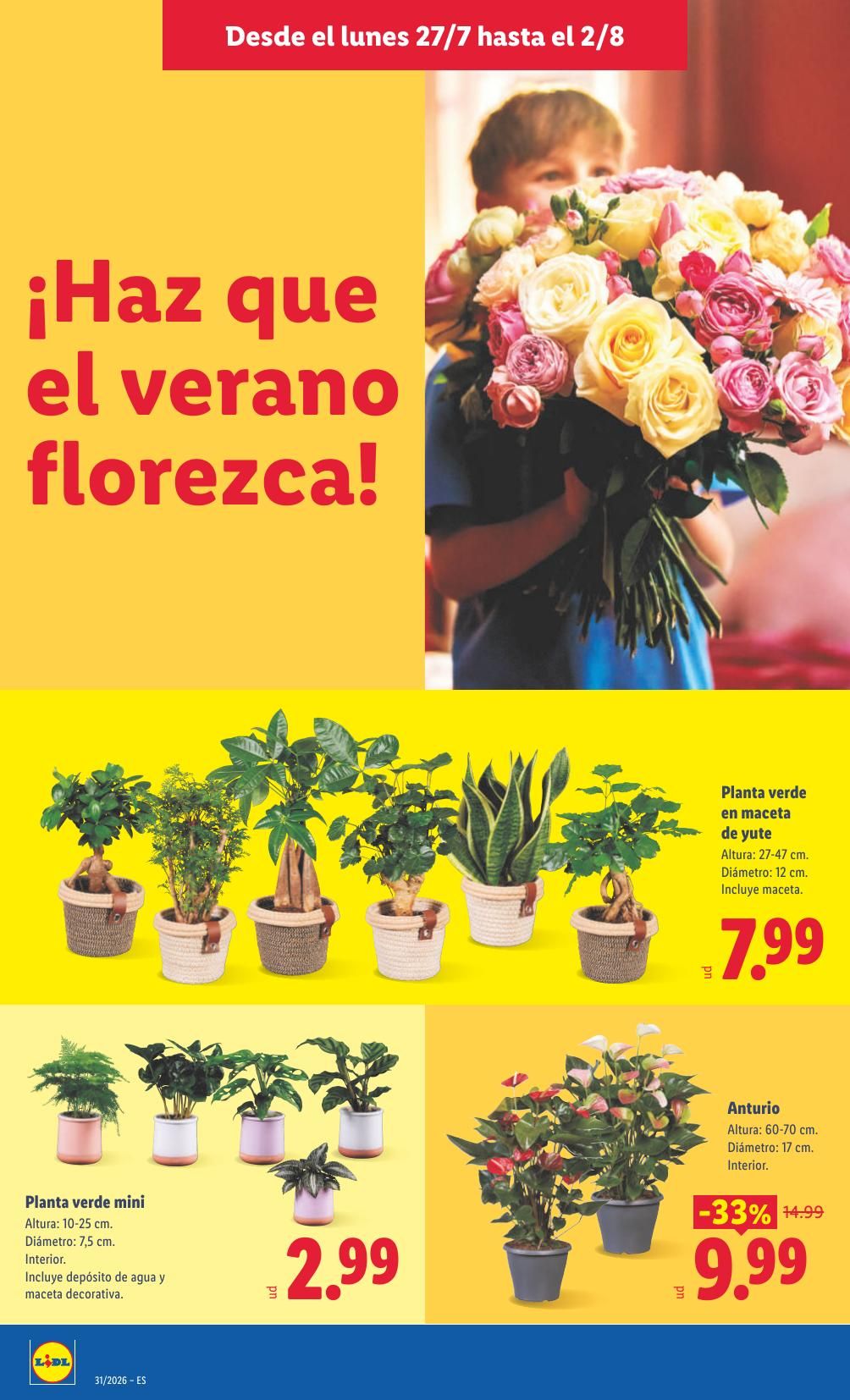 Folleto Lidl Alimentación · 27 de julio de 2026 – 2 de agosto de 2026 — Página 42
