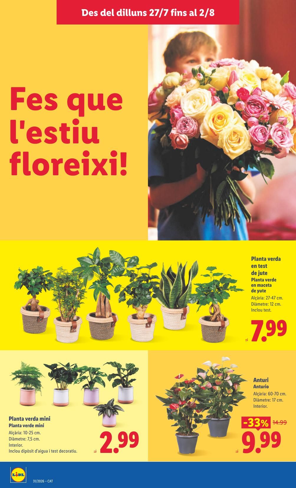 Folleto Lidl Alimentación · 27 de julio de 2026 – 2 de agosto de 2026 — Página 42
