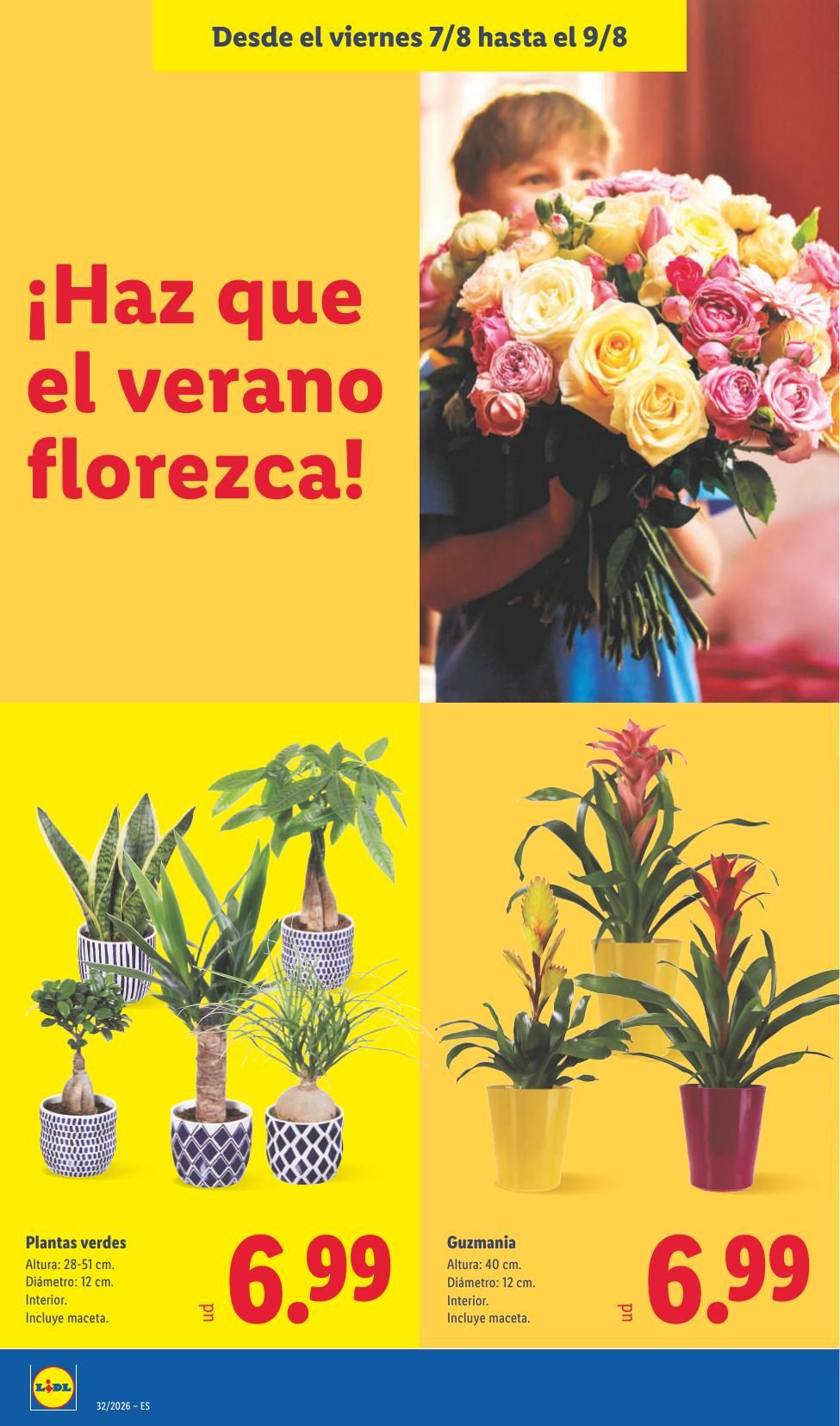 Folleto Lidl Alimentación · 3 de agosto de 2026 – 9 de agosto de 2026 — Página 60