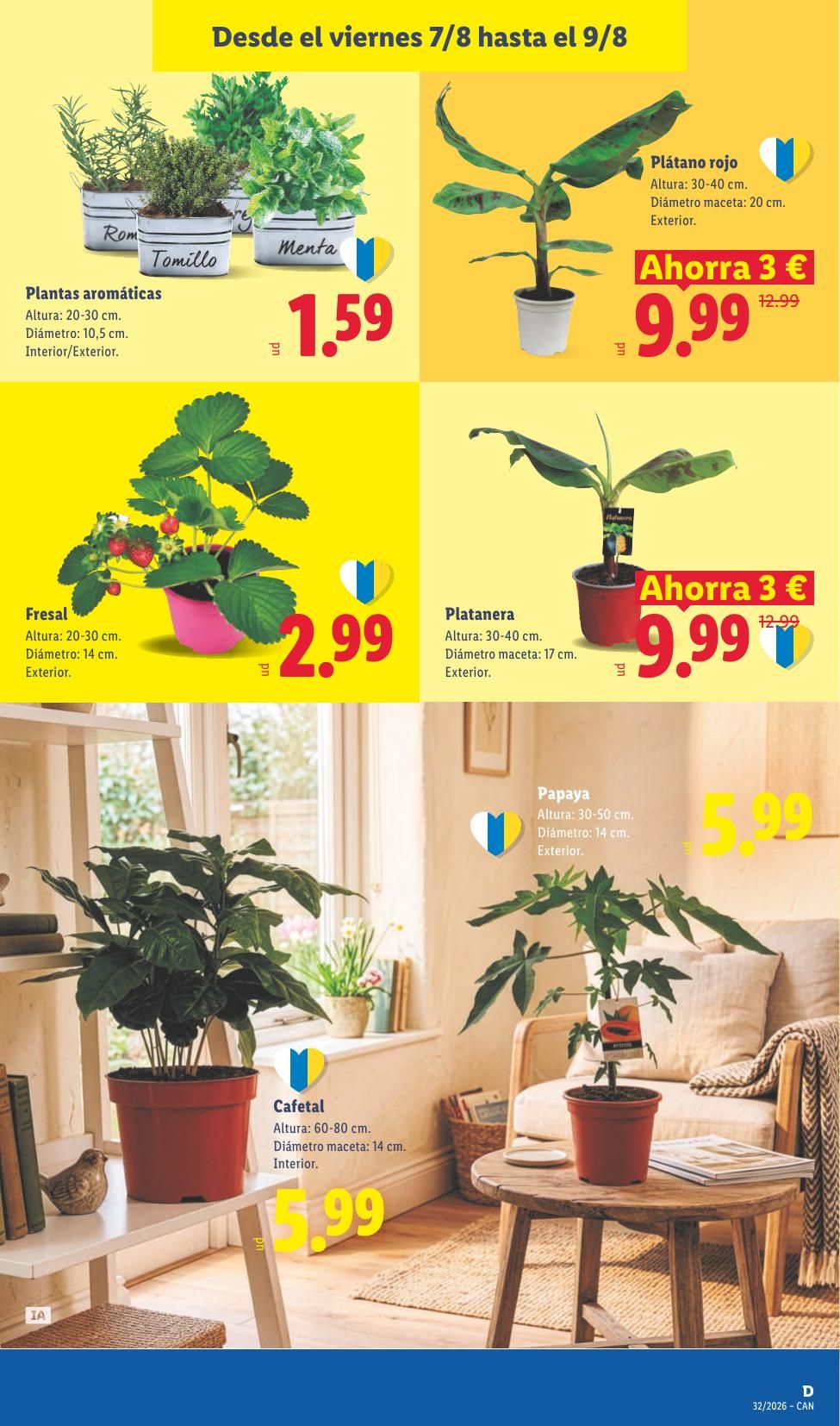 Folleto Lidl Alimentación · 3 de agosto de 2026 – 9 de agosto de 2026 — Página 65