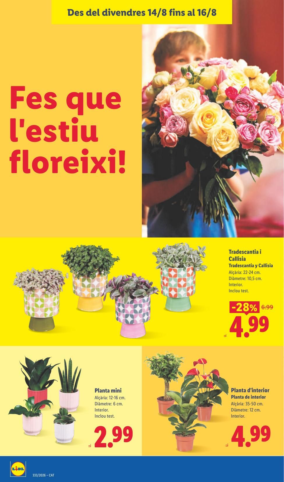 Folleto Lidl Alimentación · 10 de agosto de 2026 – 16 de agosto de 2026 — Página 56