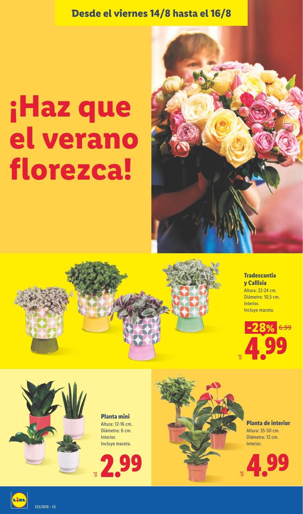 Folleto Lidl Alimentación · 10 de agosto de 2026 – 16 de agosto de 2026 — Página 56