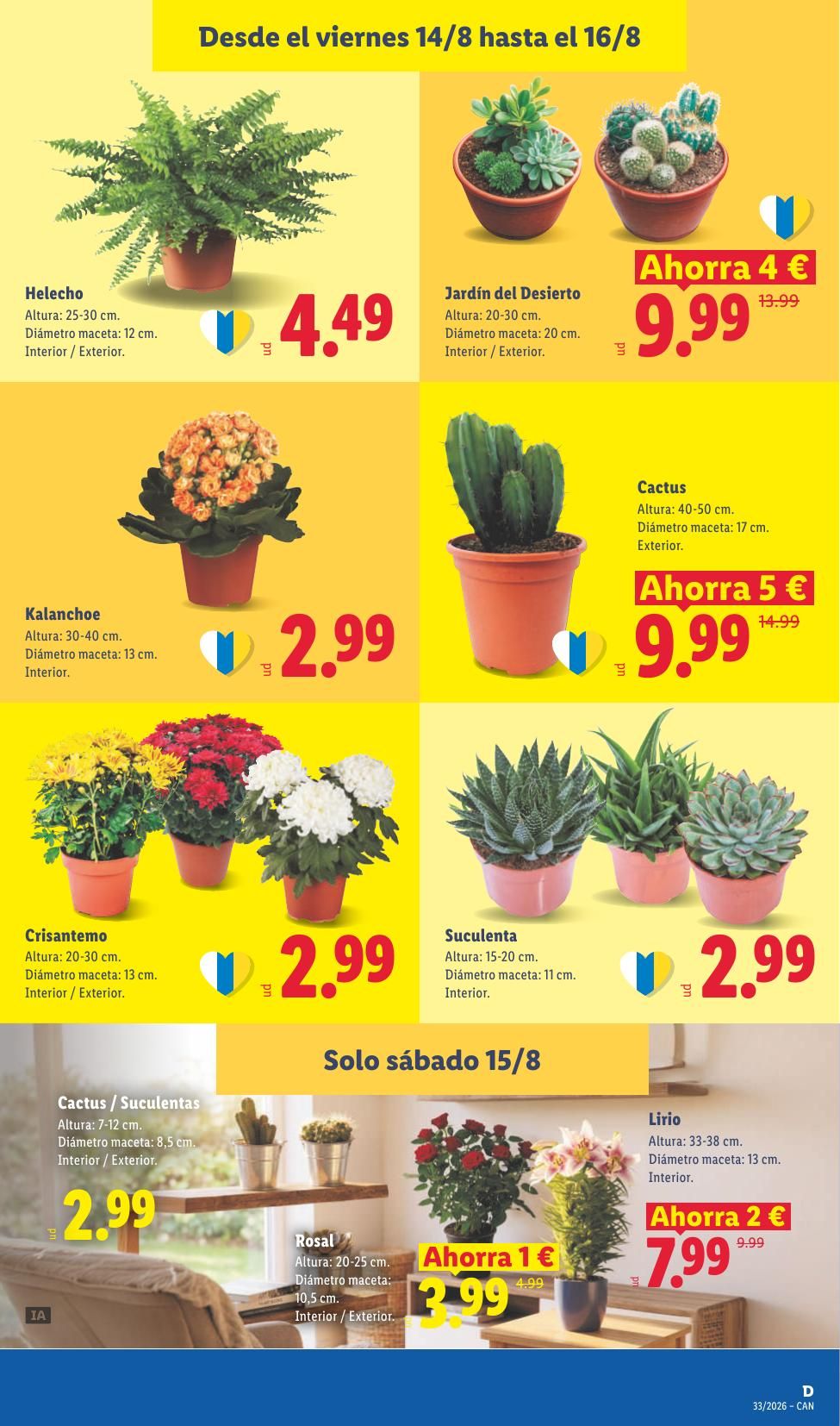 Folleto Lidl Alimentación · 10 de agosto de 2026 – 16 de agosto de 2026 — Página 57