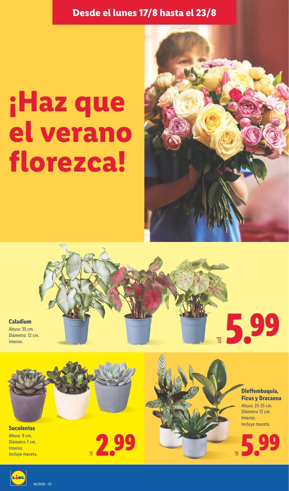 Folleto Lidl Alimentación · 17 de agosto de 2026 – 23 de agosto de 2026 — Página 50
