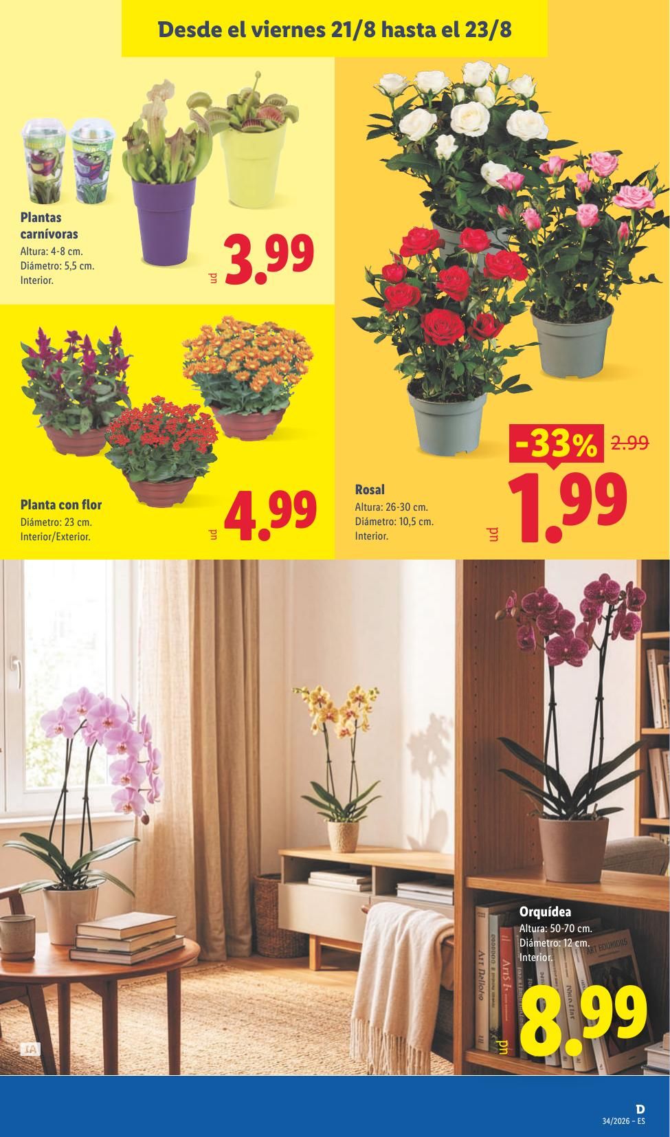 Folleto Lidl Alimentación · 17 de agosto de 2026 – 23 de agosto de 2026 — Página 51