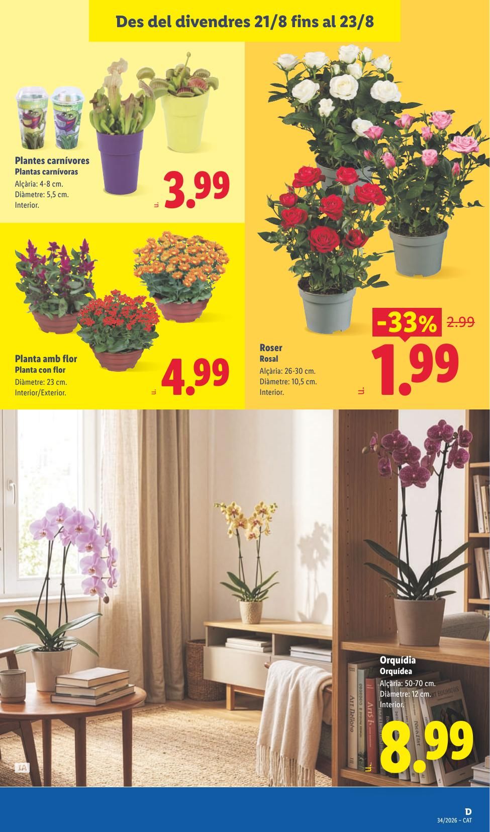 Folleto Lidl Alimentación · 17 de agosto de 2026 – 23 de agosto de 2026 — Página 51