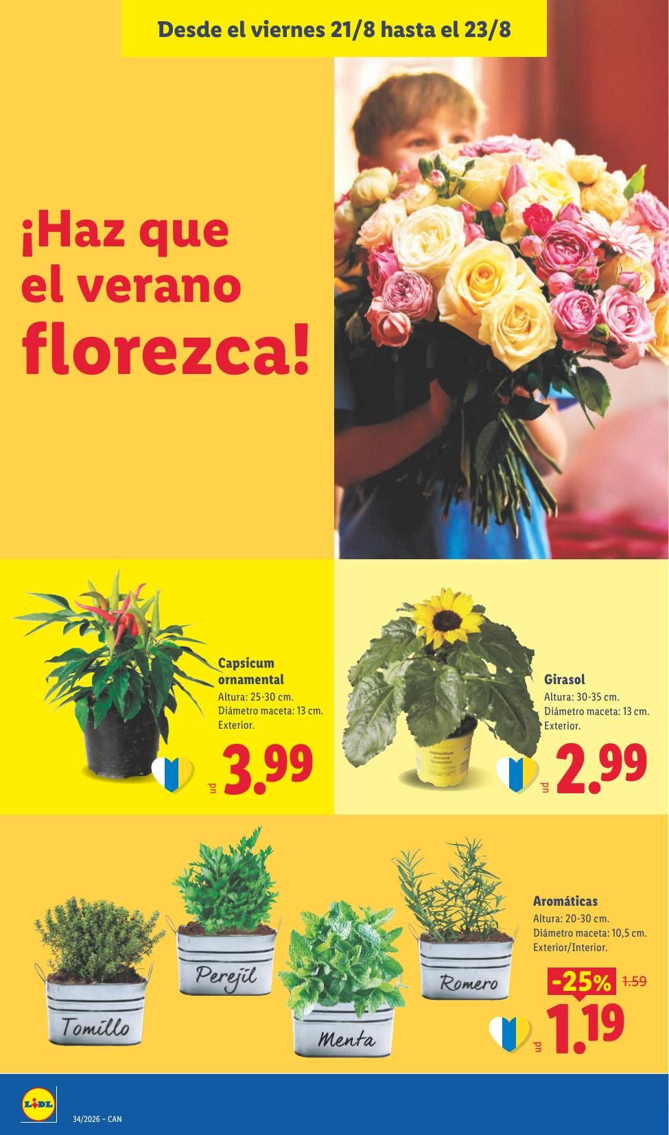 Folleto Lidl Alimentación · 17 de agosto de 2026 – 23 de agosto de 2026 — Página 60