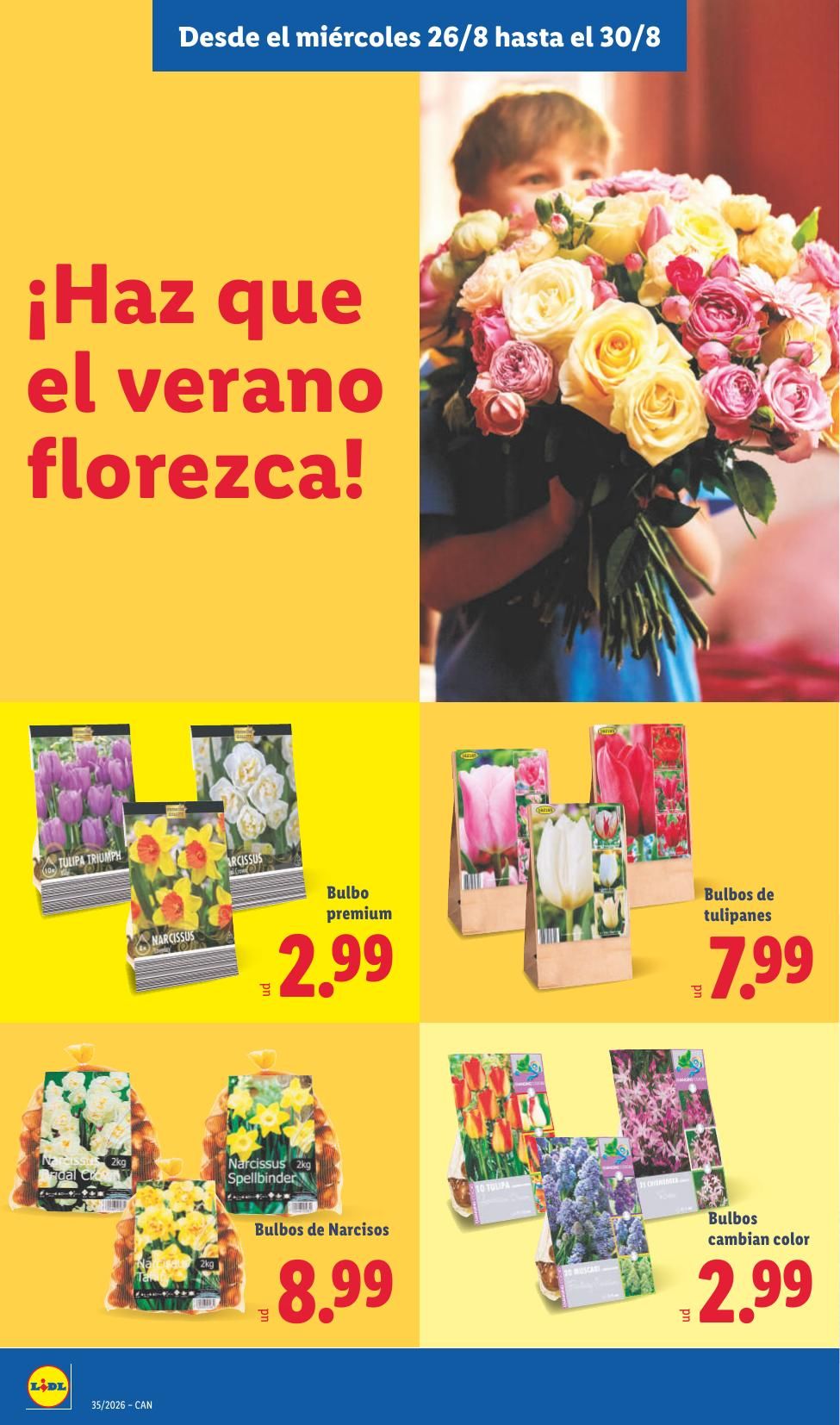 Folleto Lidl Alimentación · 17 de agosto de 2026 – 30 de agosto de 2026 — Página 28