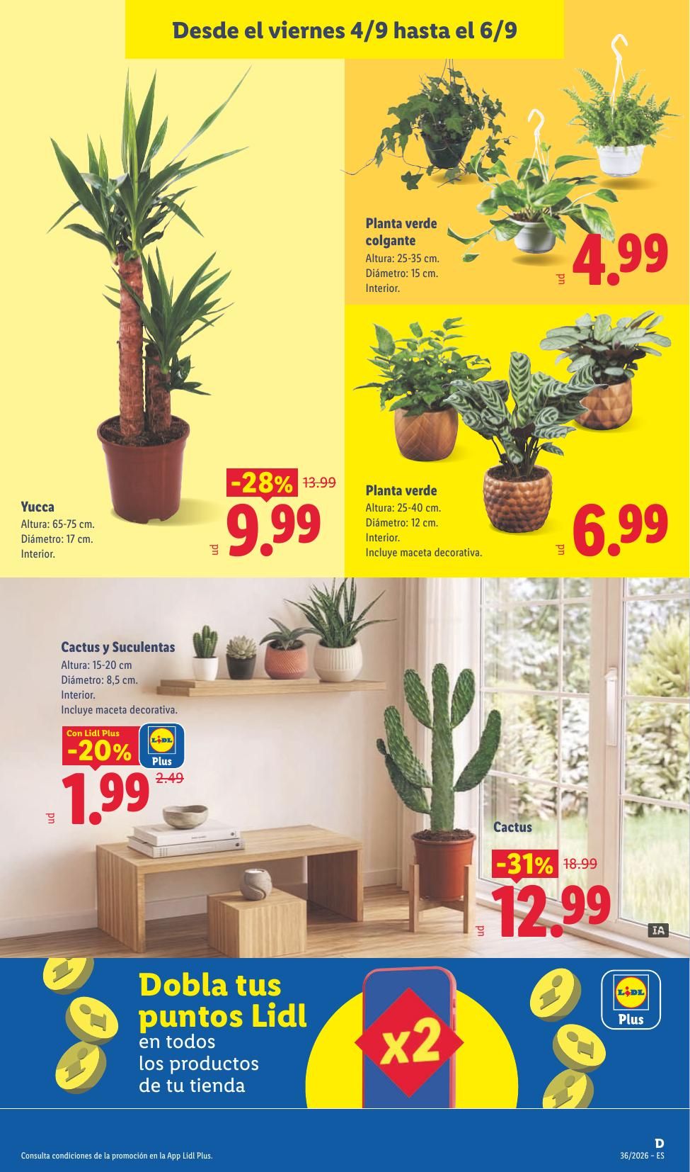 Folleto Lidl Alimentación · 31 de agosto de 2026 – 6 de septiembre de 2026 — Página 37