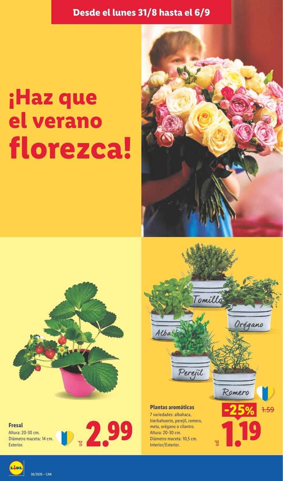 Folleto Lidl Alimentación · 31 de agosto de 2026 – 6 de septiembre de 2026 — Página 30