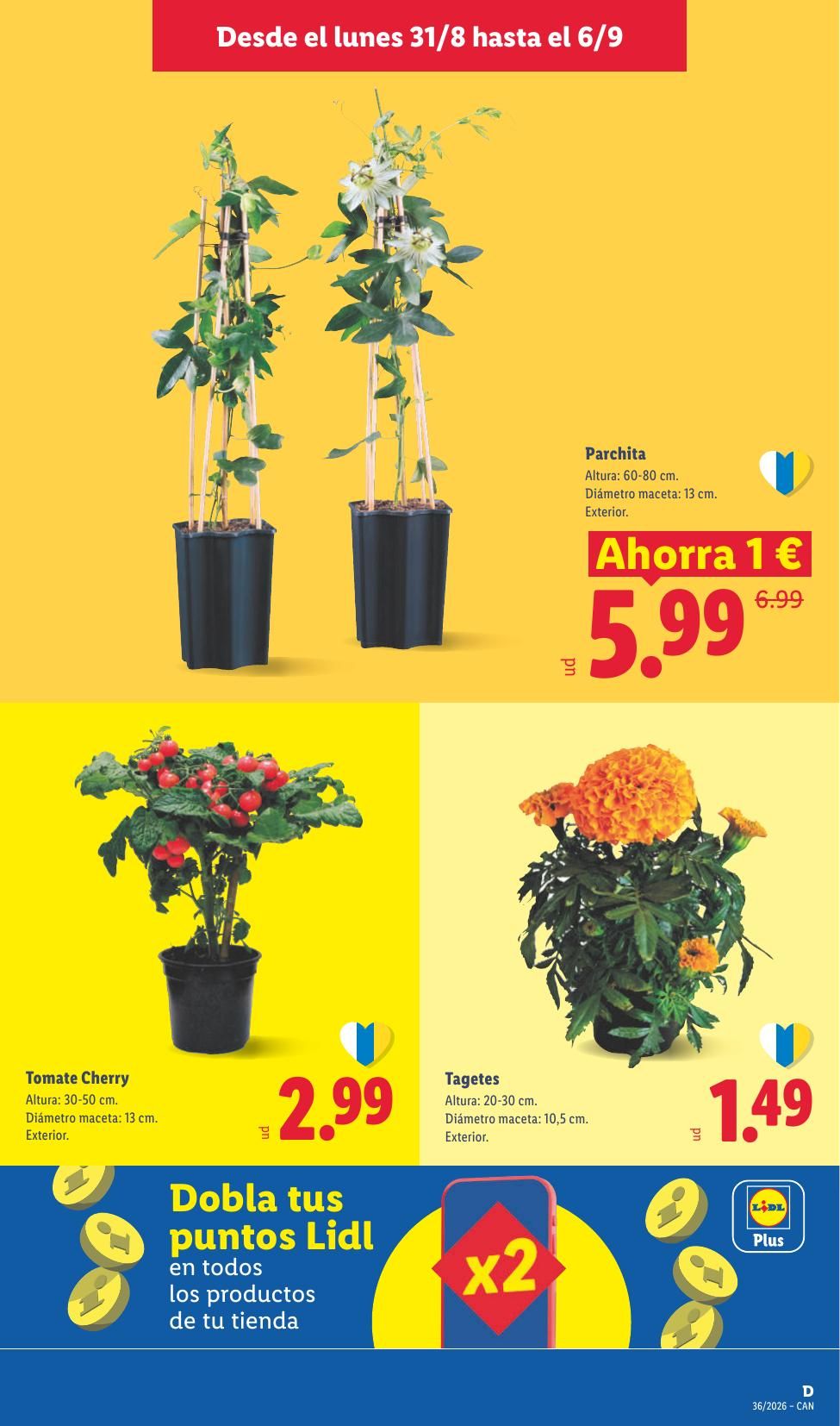 Folleto Lidl Alimentación · 31 de agosto de 2026 – 6 de septiembre de 2026 — Página 31