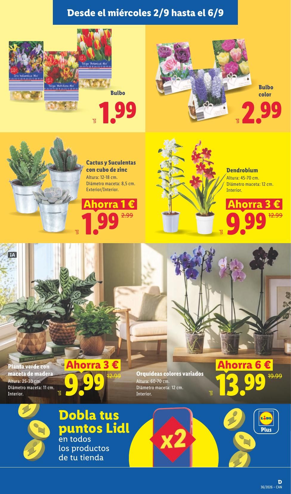 Folleto Lidl Alimentación · 31 de agosto de 2026 – 6 de septiembre de 2026 — Página 33